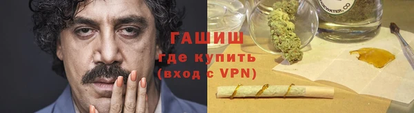 соль ск Инсар
