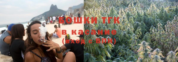 соль ск Инсар
