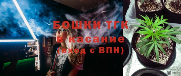 соль ск Инсар
