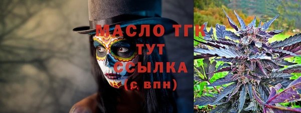 соль ск Инсар