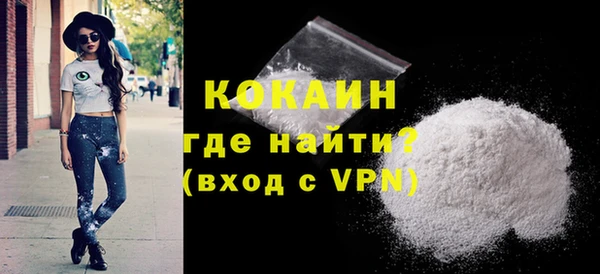 соль ск Инсар